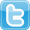 segui su twitter